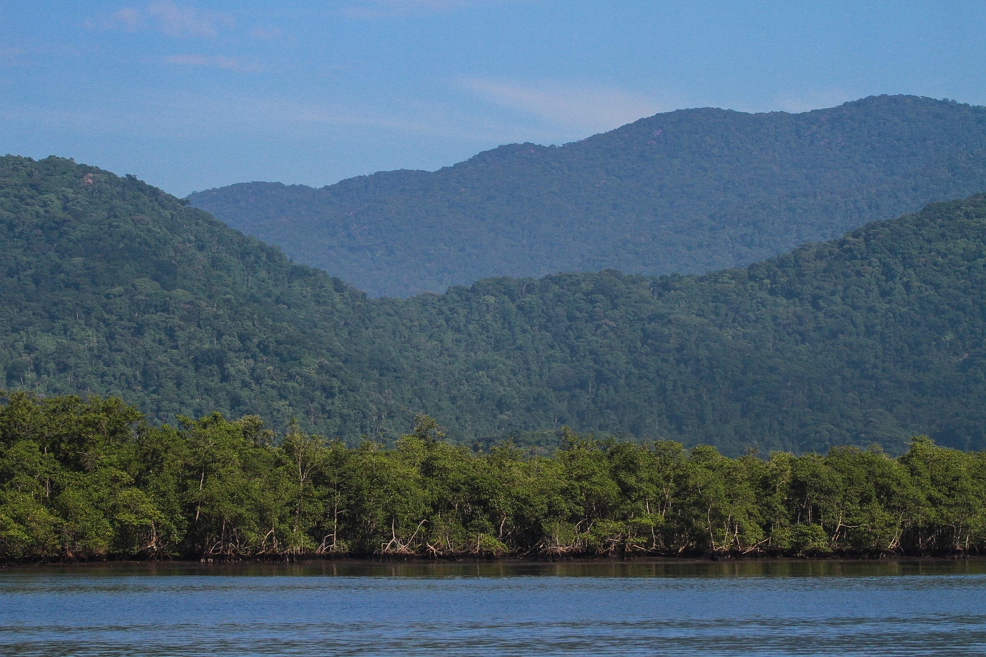 mata atlântica