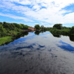 Mato Grosso